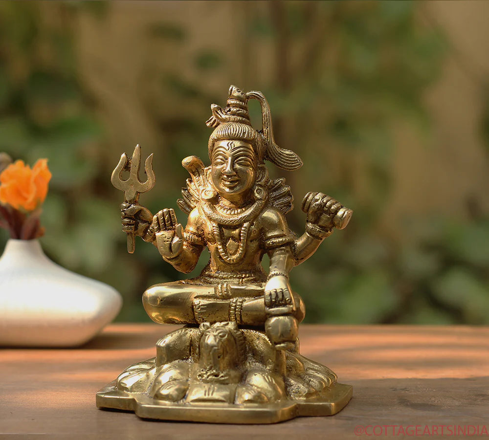 Brass Shiva Picture